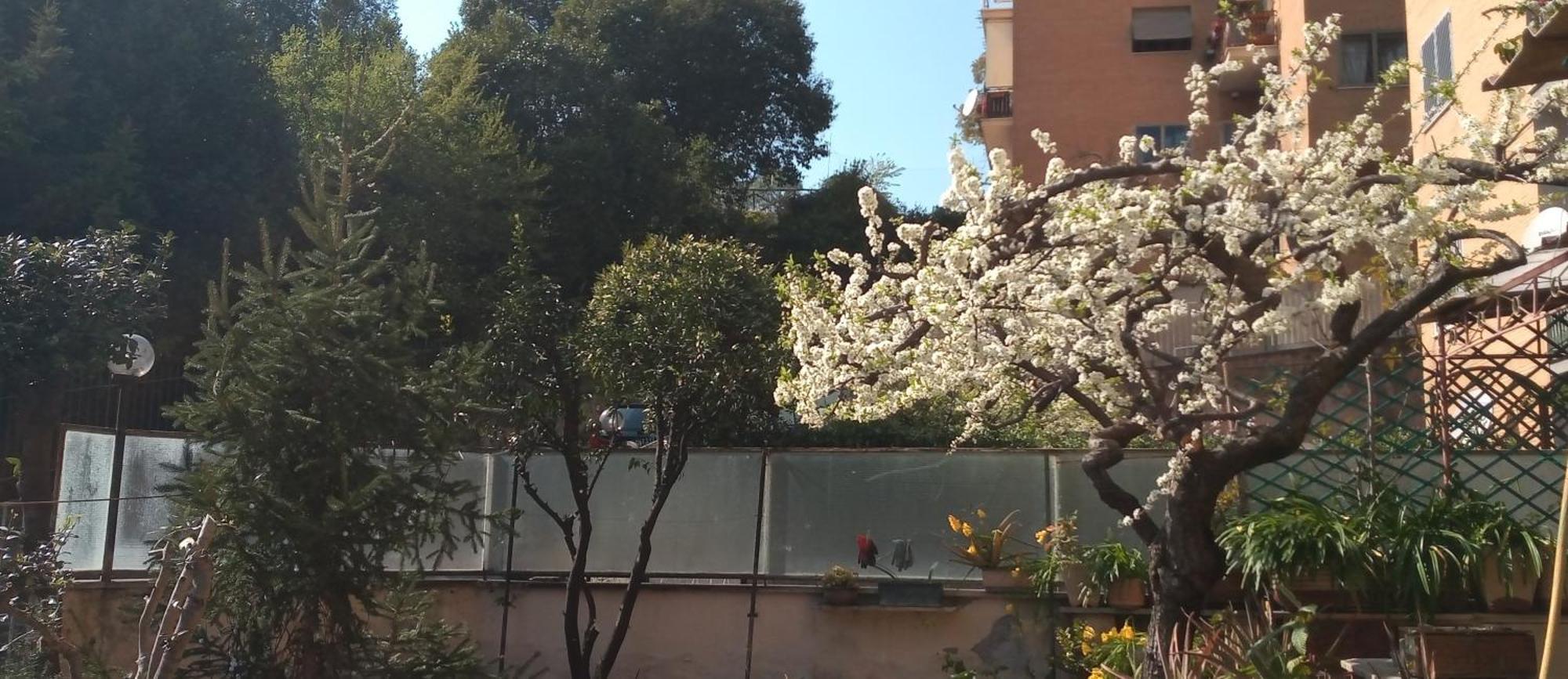 Il Giardino Dell'eden 10 - Turistico Di Barbara C Roma