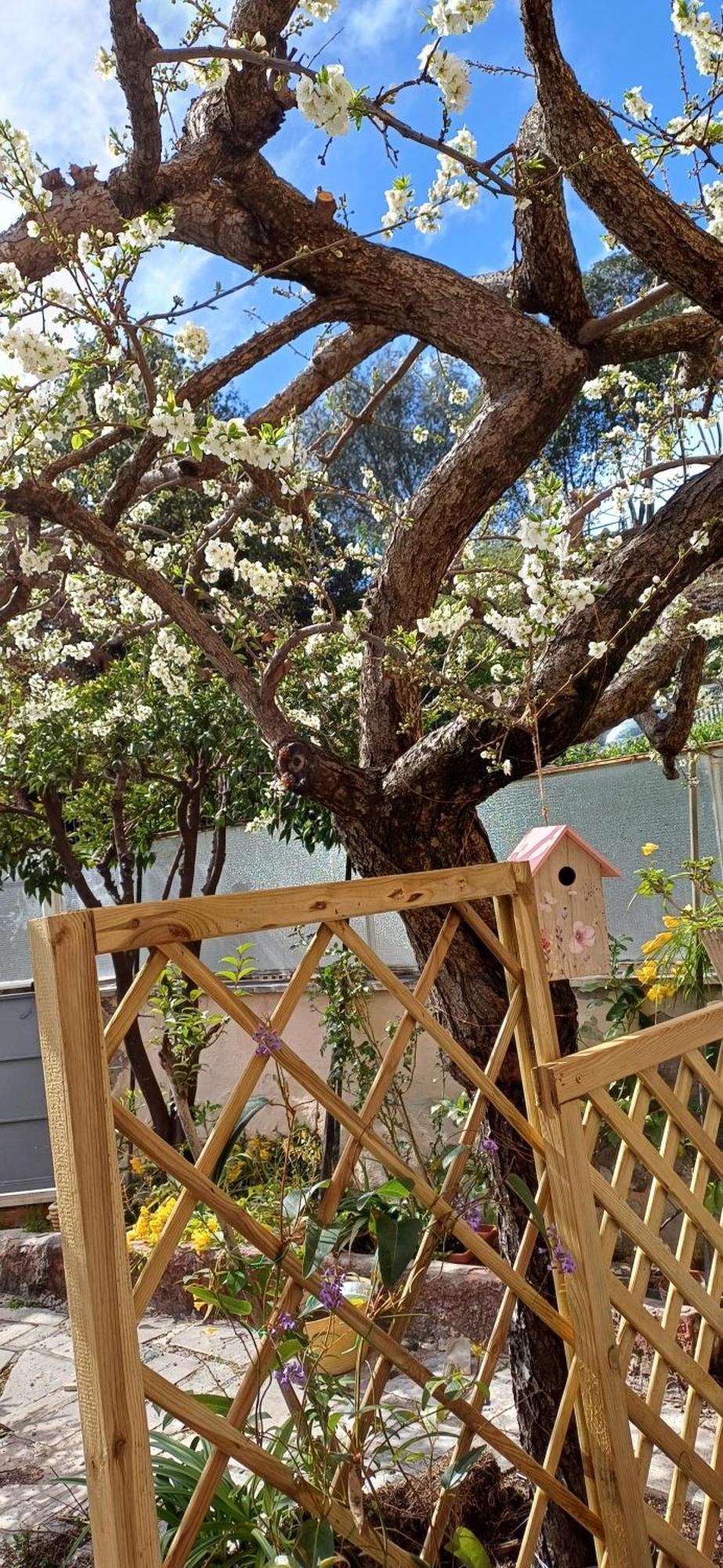 Appartamento Il Giardino Dell'eden 10 - Turistico Di Barbara C