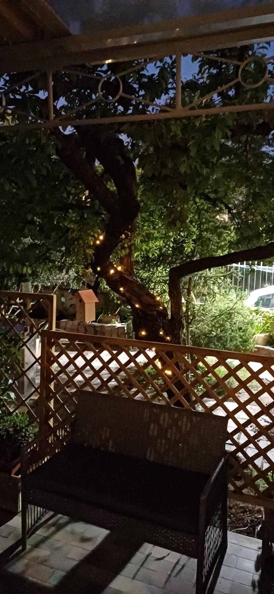 Il Giardino Dell'eden 10 - Turistico Di Barbara C * Roma
